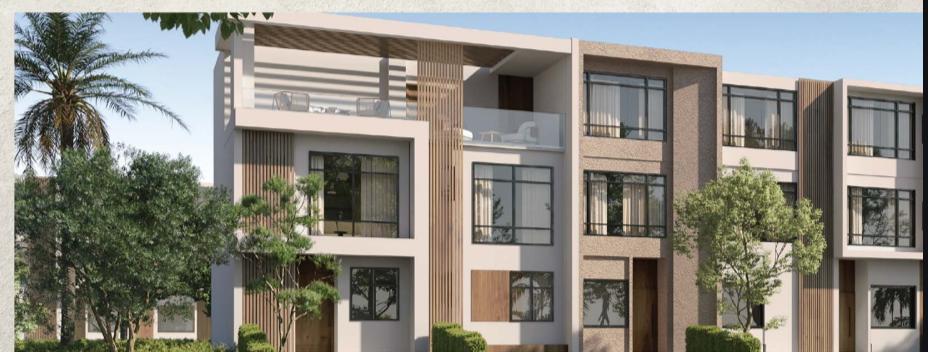 مونتي نابليون