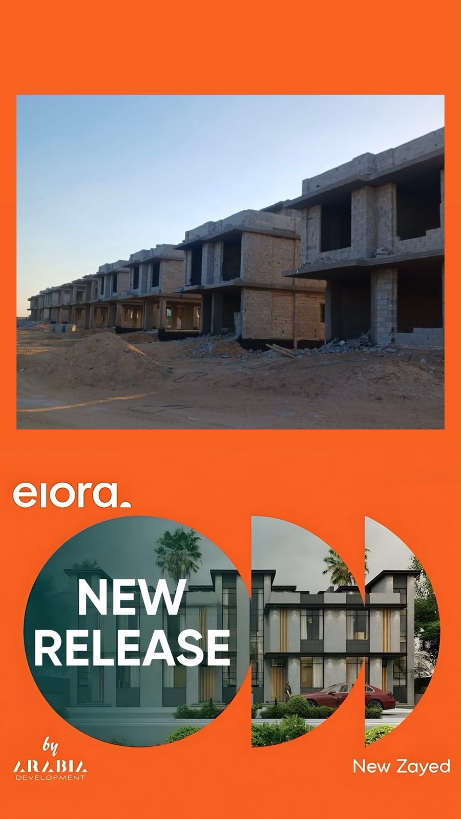 Elora New Zayed