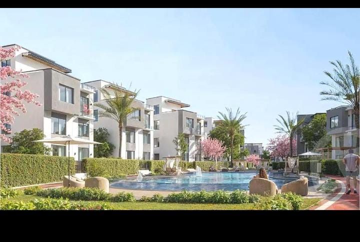 Clavel New Zayed